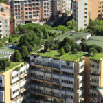 Sól drogowa – najczęstsze błędy przy jej przechowywaniu