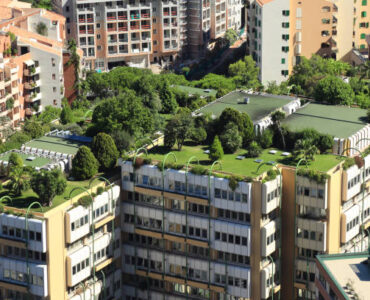 Jak założyć trawnik dachowy na budynku?